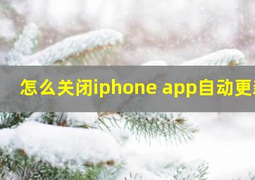 怎么关闭iphone app自动更新